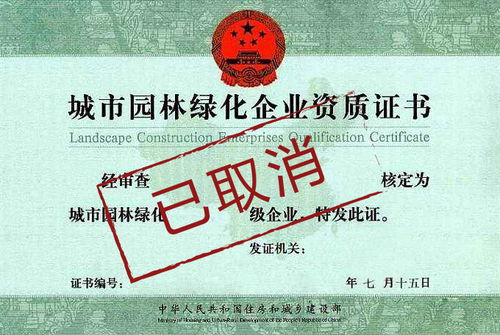 资质取消潮来袭 建筑企业生存挑战与招投标代理服务转型之路